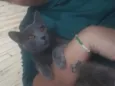 Jade