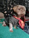 Rico