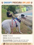 Snoopy
