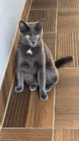 Pandora