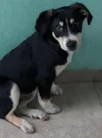 Lucky
