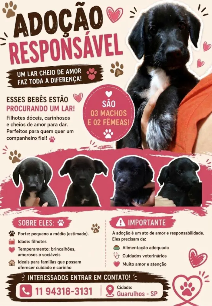 Cachorro raça SRD-ViraLata idade 2 a 6 meses nome Mel, Kiara, Juju, Tom, Bob