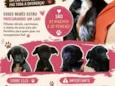Mel, Kiara, Juju, Tom, Bob