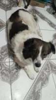 Bob
