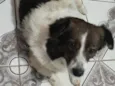 Bob