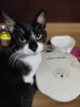 Tom Bob