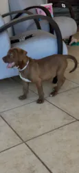 Logan