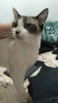 Vodka