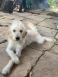 Ralf
