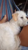 Ralf