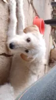 Ralf
