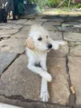 Ralf