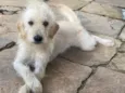 Ralf