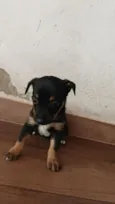 não tem nome