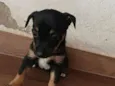 não tem nome