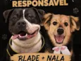 Blade e nala