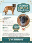 Zeca