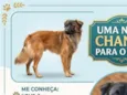 Zeca