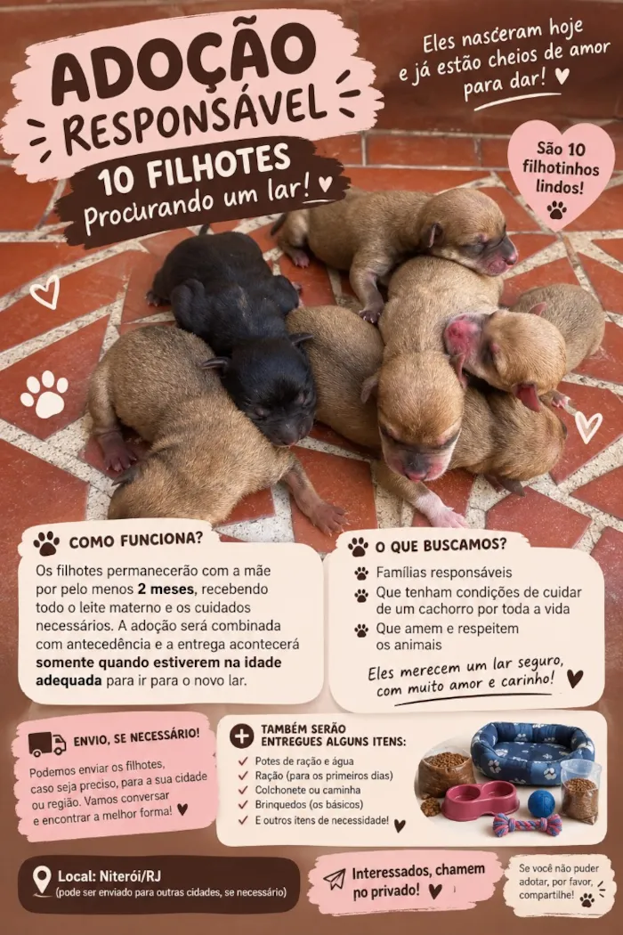 Cachorro raça SRD-ViraLata idade Abaixo de 2 meses nome Cachorrinhos 