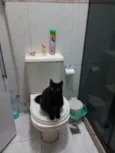 Selina