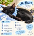 Arthurs