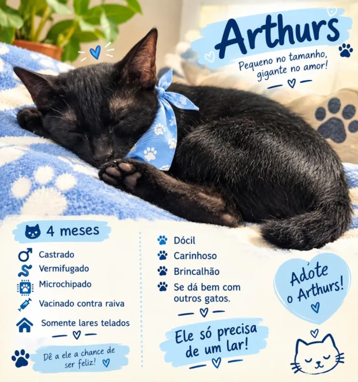 Gato raça SRD-ViraLata idade 2 a 6 meses nome Arthurs