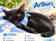 Arthurs
