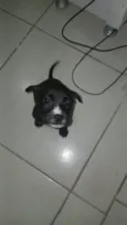 ainda não tem nome 