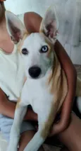 Meggie