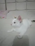Marie