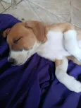 Mia
