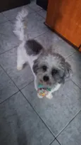 Bobby 