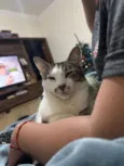 Plankton