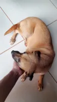 Paçoca 