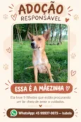 Sem nome