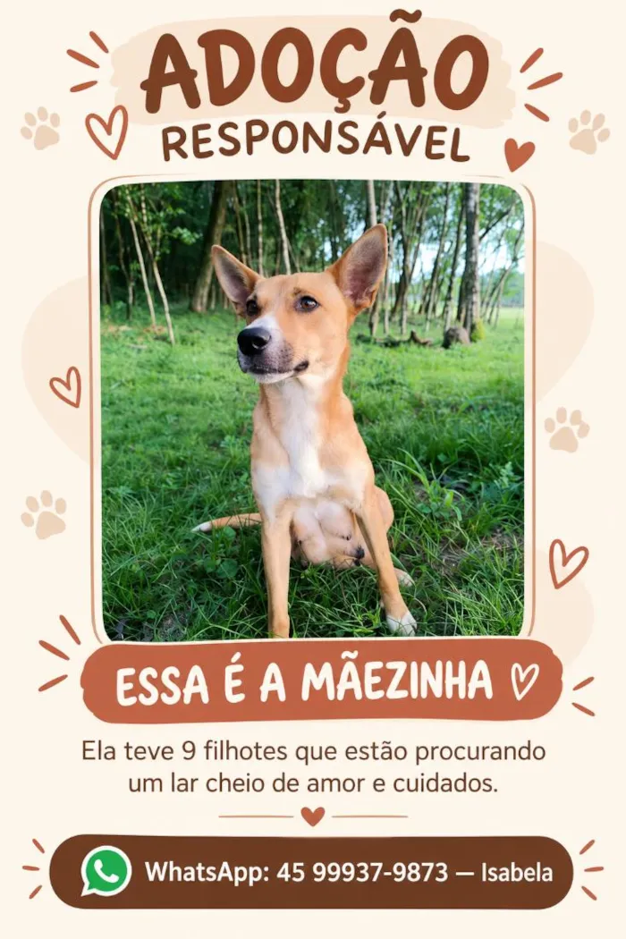 Cachorro raça SRD-ViraLata idade Abaixo de 2 meses nome Sem nome