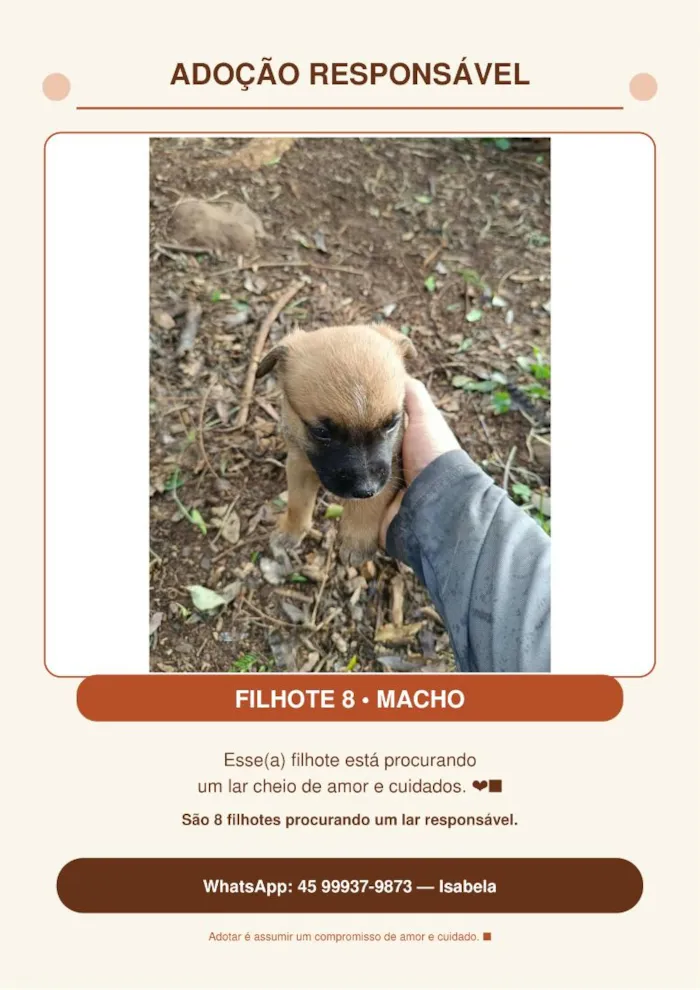 Cachorro raça SRD-ViraLata idade Abaixo de 2 meses nome Sem nome