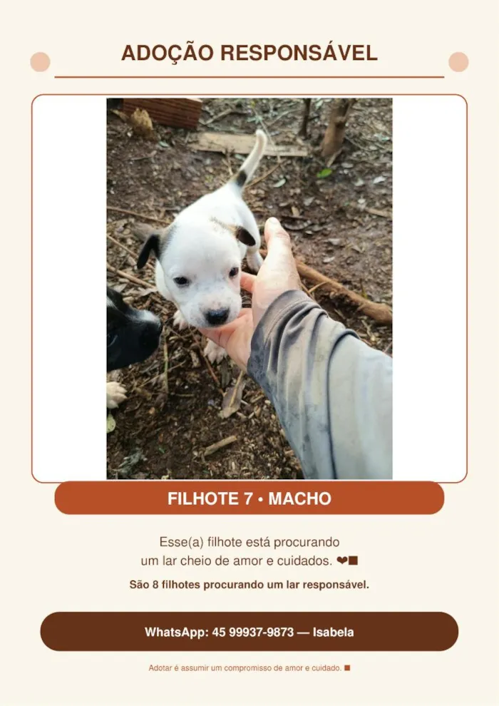 Cachorro raça SRD-ViraLata idade Abaixo de 2 meses nome Sem nome