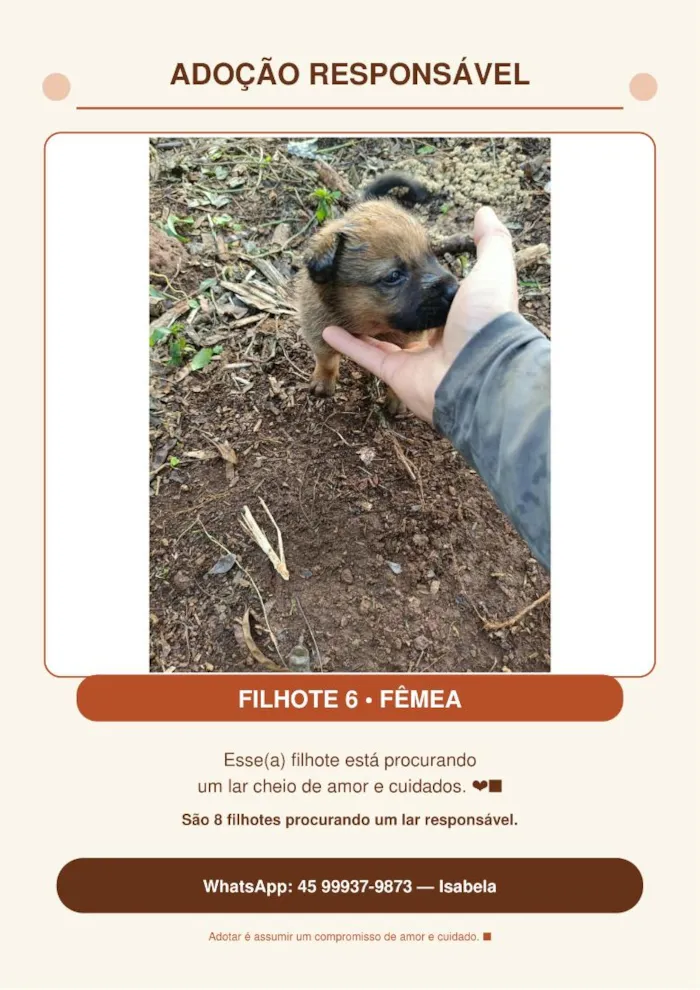 Cachorro raça SRD-ViraLata idade Abaixo de 2 meses nome Sem nome