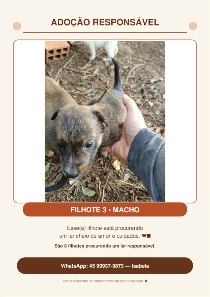 Cachorro raça SRD-ViraLata idade Abaixo de 2 meses nome Sem nome