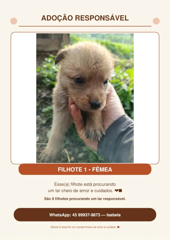 Cachorro raça SRD-ViraLata idade Abaixo de 2 meses nome Sem nome