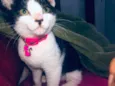 Lili