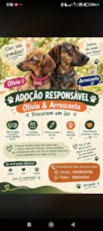 Olívia e Arrascaeta