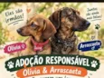 Olívia e Arrascaeta