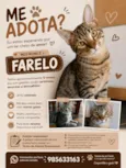 Farelo