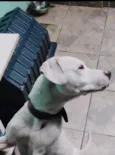 Chloe