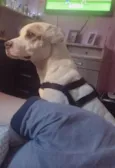Chloe