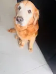 Marley