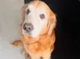 Marley