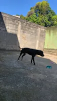 Luca 